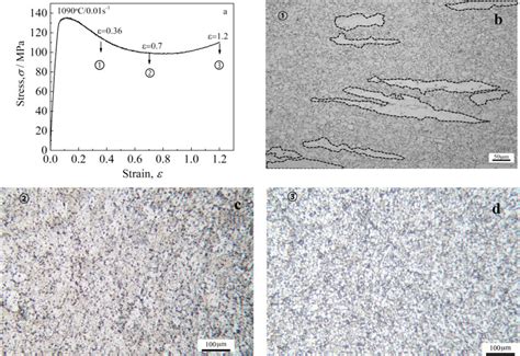 isothermal hot compression tests|Analysis of flow stress and microstructure during hot compression .